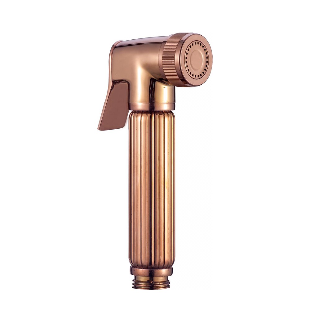 Aurum Health Faucet KA580011-RG Health Faucet With Hook (Brass)